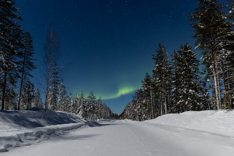 Aurora Borealis Over Road In Snow In Forest At Night