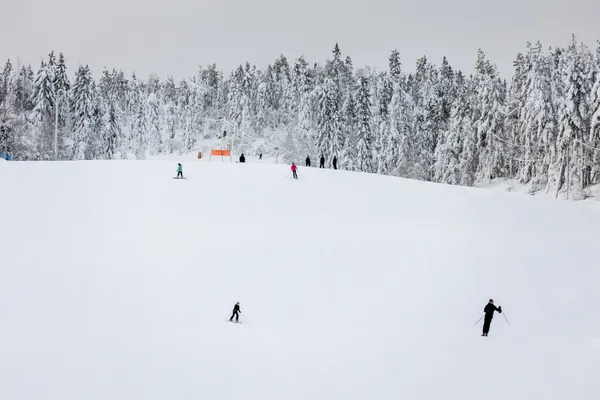Colline d'Ounasvaara