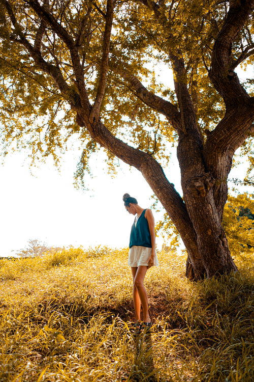 Free A woman in a blue tank top stands under a large tree in a sunlit grass field. Stock Photo