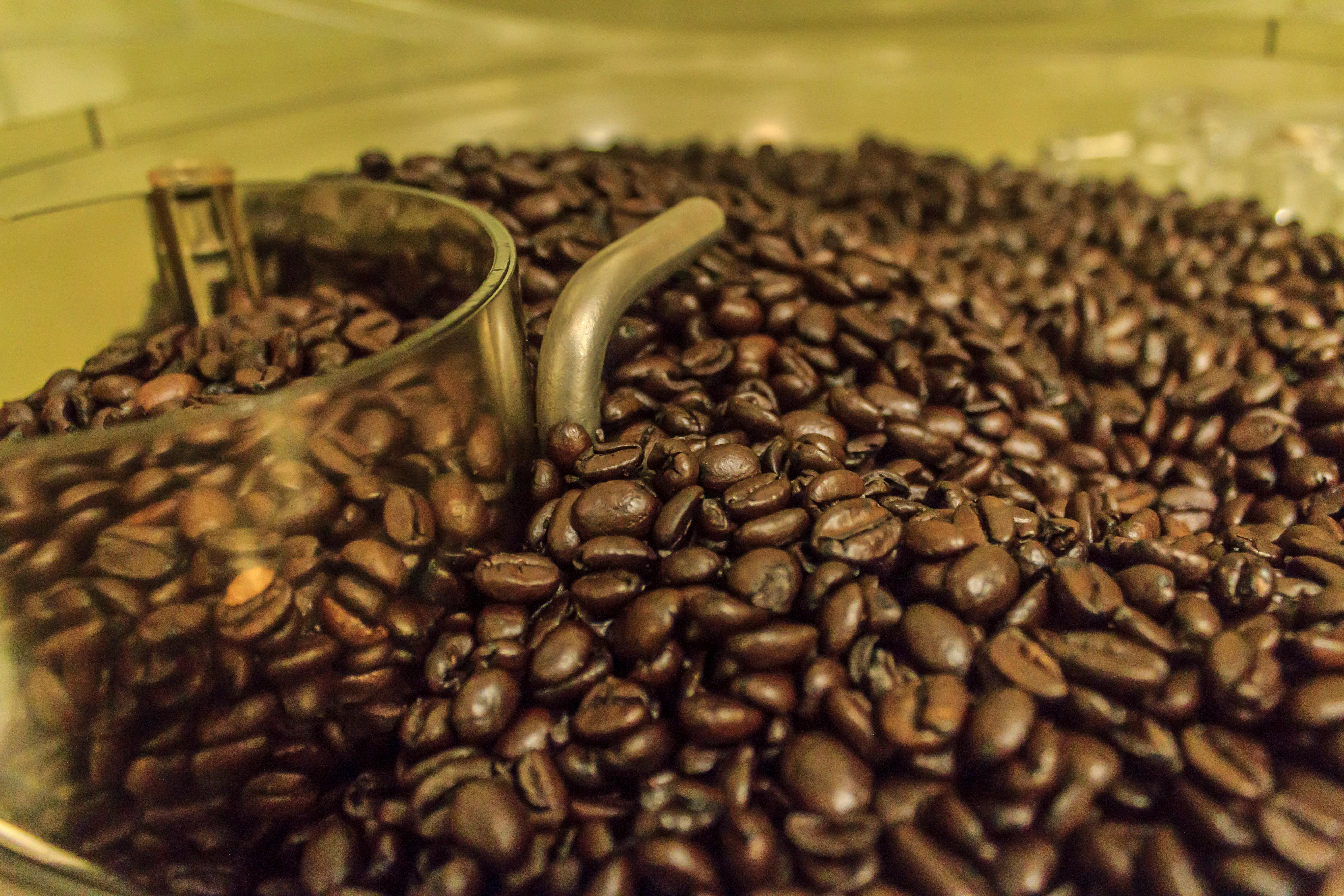 Free stock photo of coffee, coffee bean, roasted coffee beans