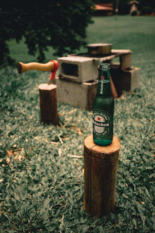 A Green Glass of Beer on a Brown Wooden Log