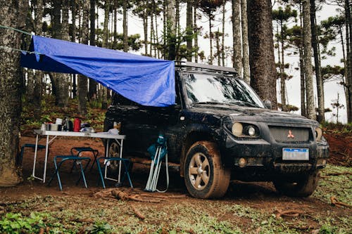 Gratis stockfoto met auto, barbecue, bomen