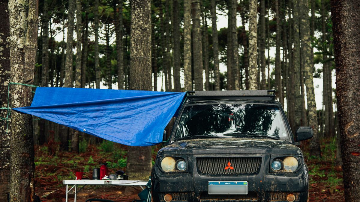 Astuces pour un road trip écoresponsable en 2026 - illustration