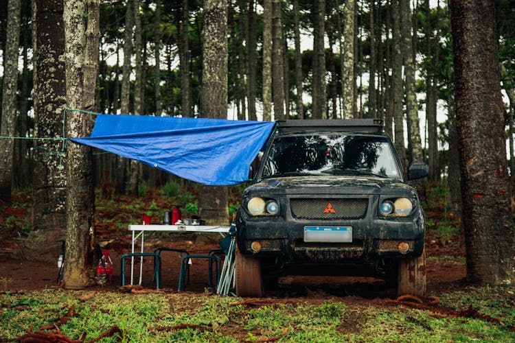 Mitsubishi Off-road Car Parked In Woods 