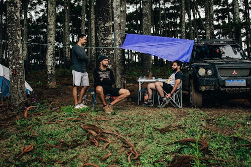 Men Camping in a Forest