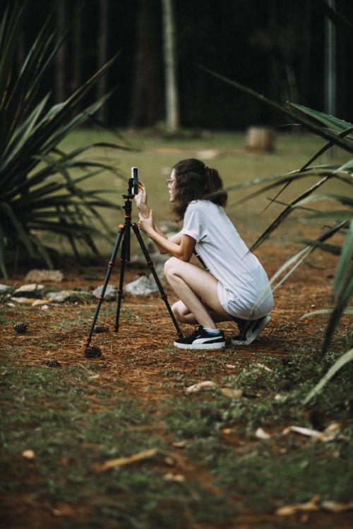 Free A young woman crouches in a forest, using a smartphone on a tripod to capture video. Stock Photo