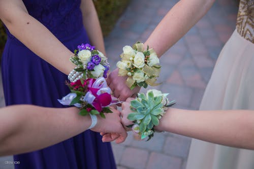 Free stock photo of corsages, dance, girls