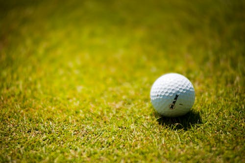 Bola Golf Putih Di Rumput Hijau