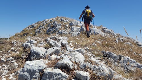 Foto d'estoc gratuïta de d'esquena, fent excursionisme, home