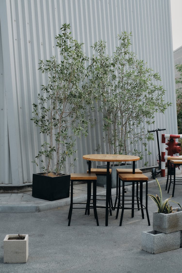 Outdoor Wooden Table And Stools Photo