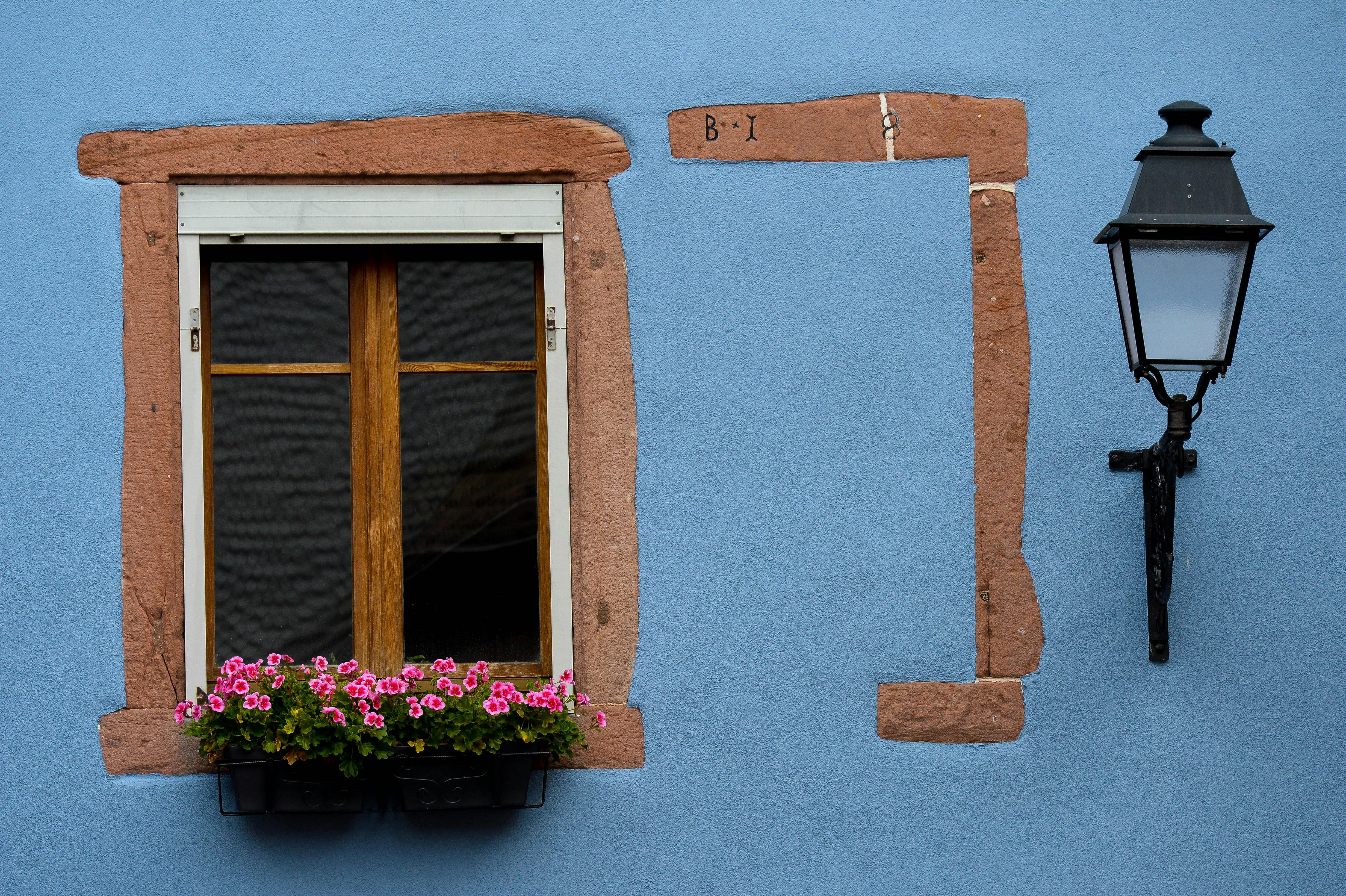 A quaint blue facade featuring a window, pink flowers, and traditional lantern in Ribeauvillé, France.
