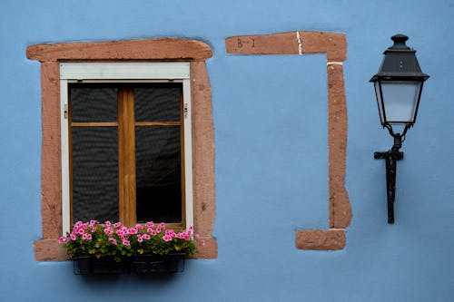Blue Facade of a Building and Flowers on a Window 