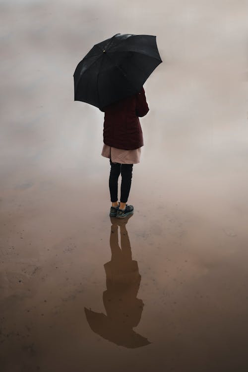 Základová fotografie zdarma na téma deštník, držení, kaluž