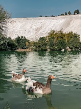 Image by Maria Marselle