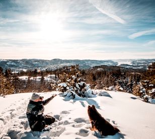 Snowing Photos, Download The BEST Free Snowing Stock Photos & HD Images