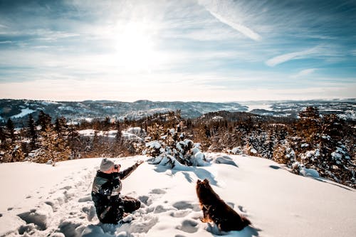 Free Man sitting near a dog  Holding a Camera While Taking Picture of the Landscape Stock Photo