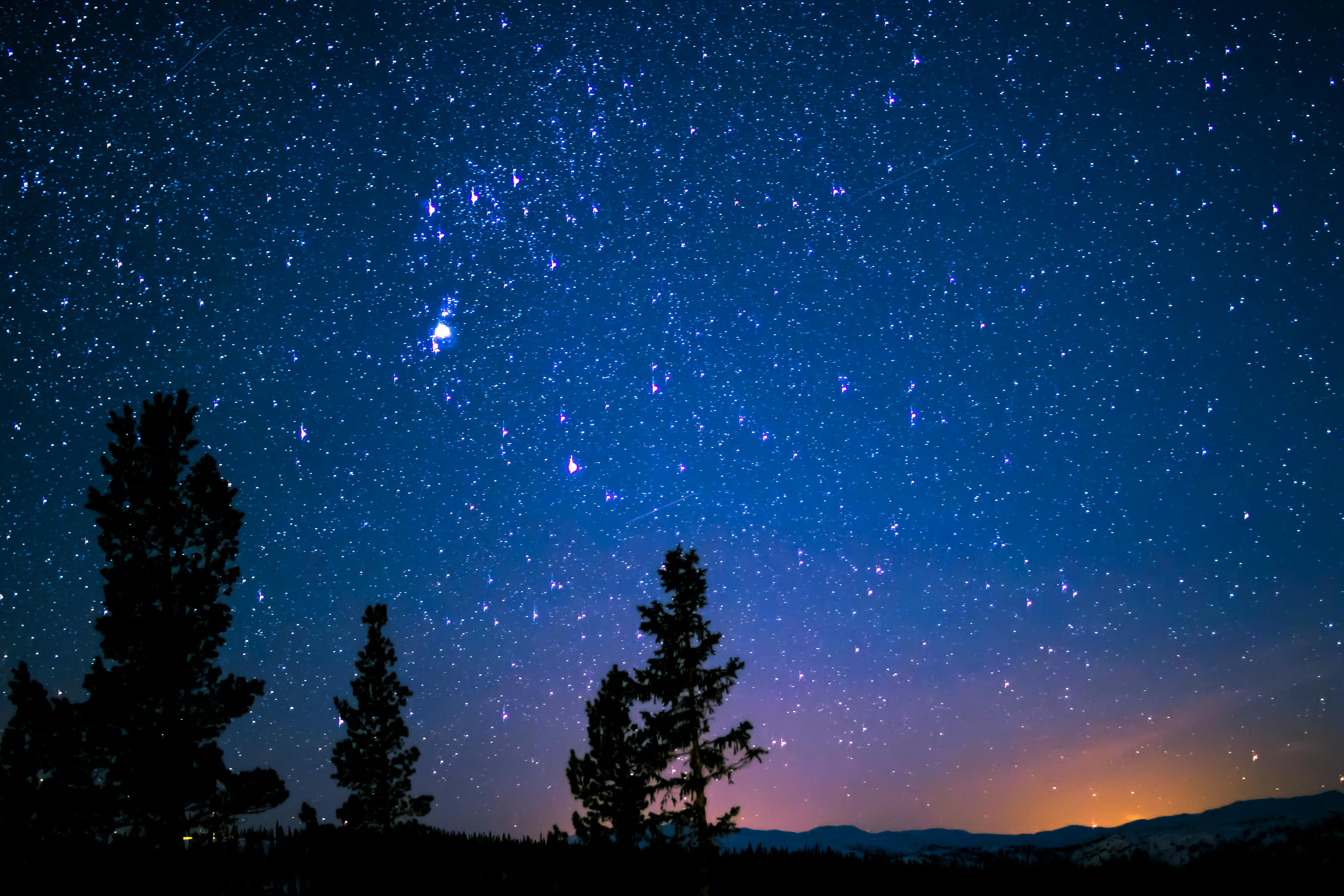 青い星空の下の木と山のシルエット 無料の写真素材