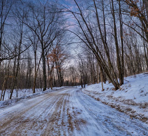 Snow Covered Road Between Bare Trees