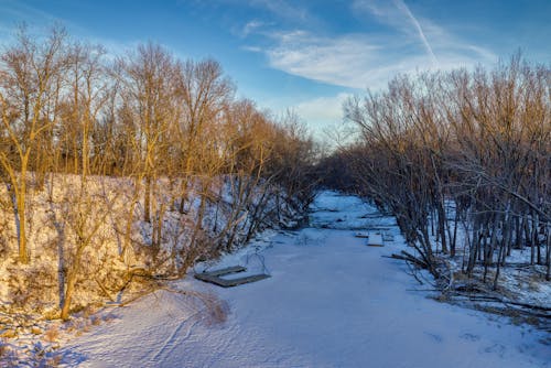 Snow Covered Path between Bare Trees