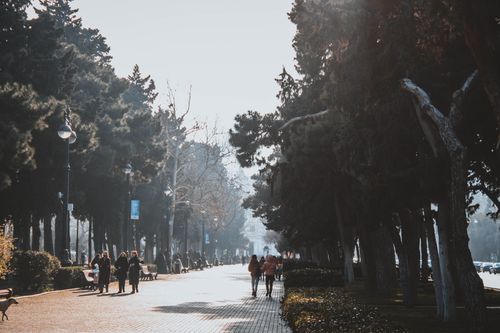 Free People walking along a tree-lined path in a tranquil urban park setting. Stock Photo
