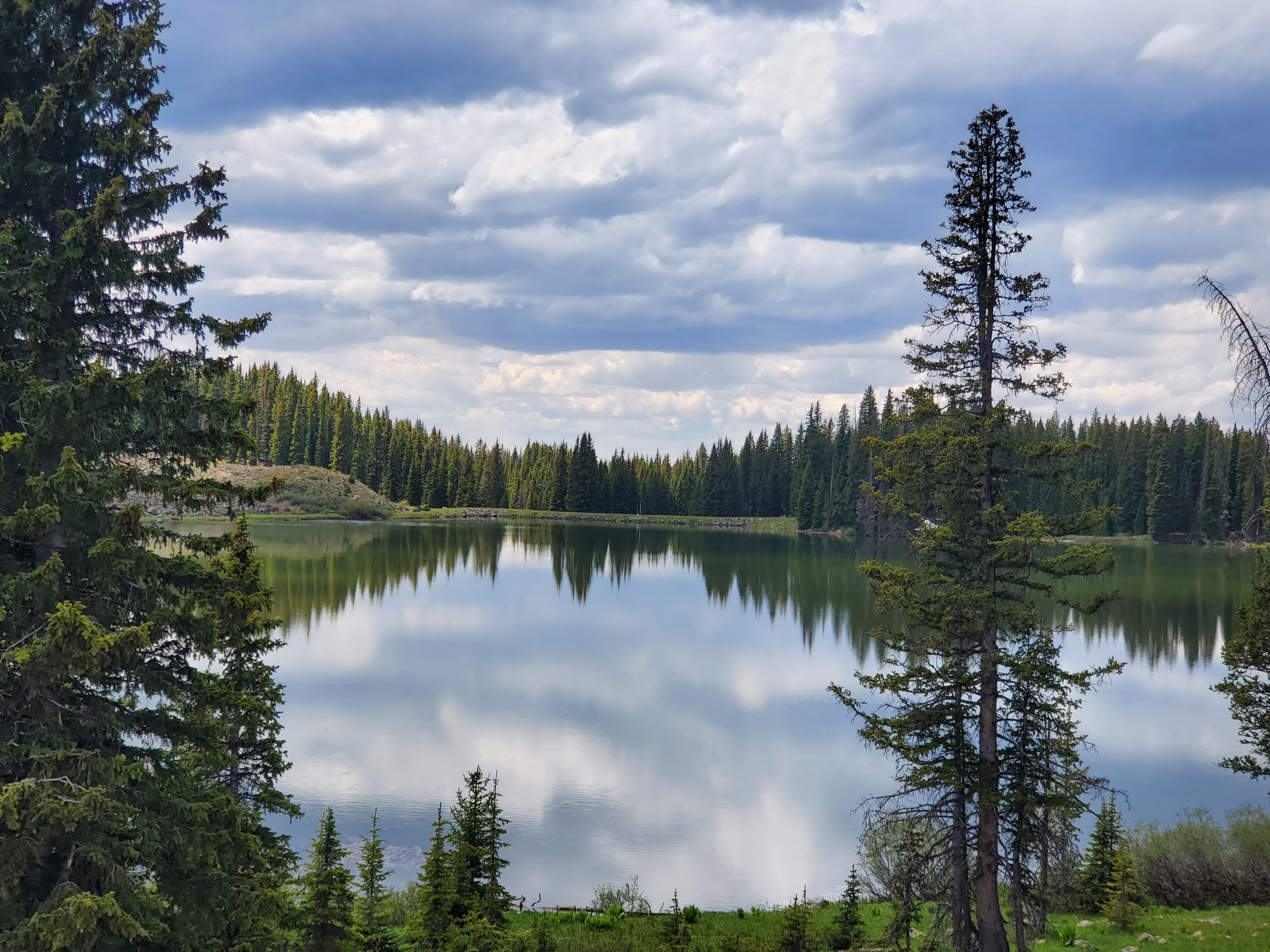 Lake Surrounded by Trees Under Cloudy Sky · Free Stock Photo