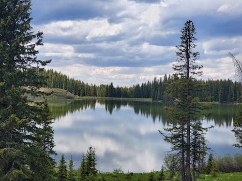 Free Lake Surrounded by Trees Under Cloudy Sky  Stock Photo