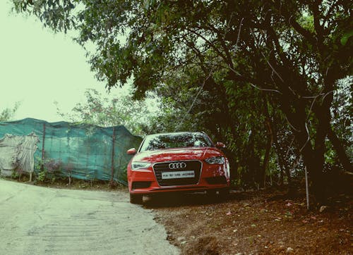 Free stock photo of audi a3, car under tree, hilly Stock Photo