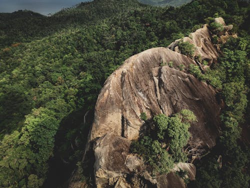 Aerial View of Mountain Towering Over Forest