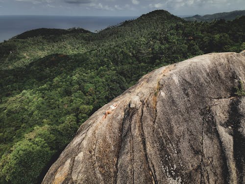 Foto profissional grátis de floresta, imponente, montanha