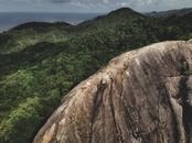 Aerial View of Mountain in Forest