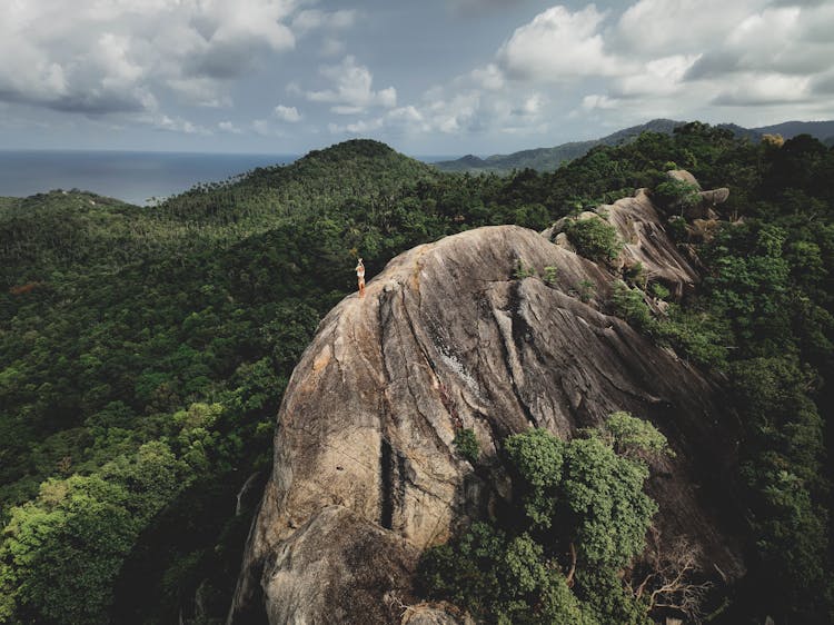 Person Standing On Mountain Towering Over Forest