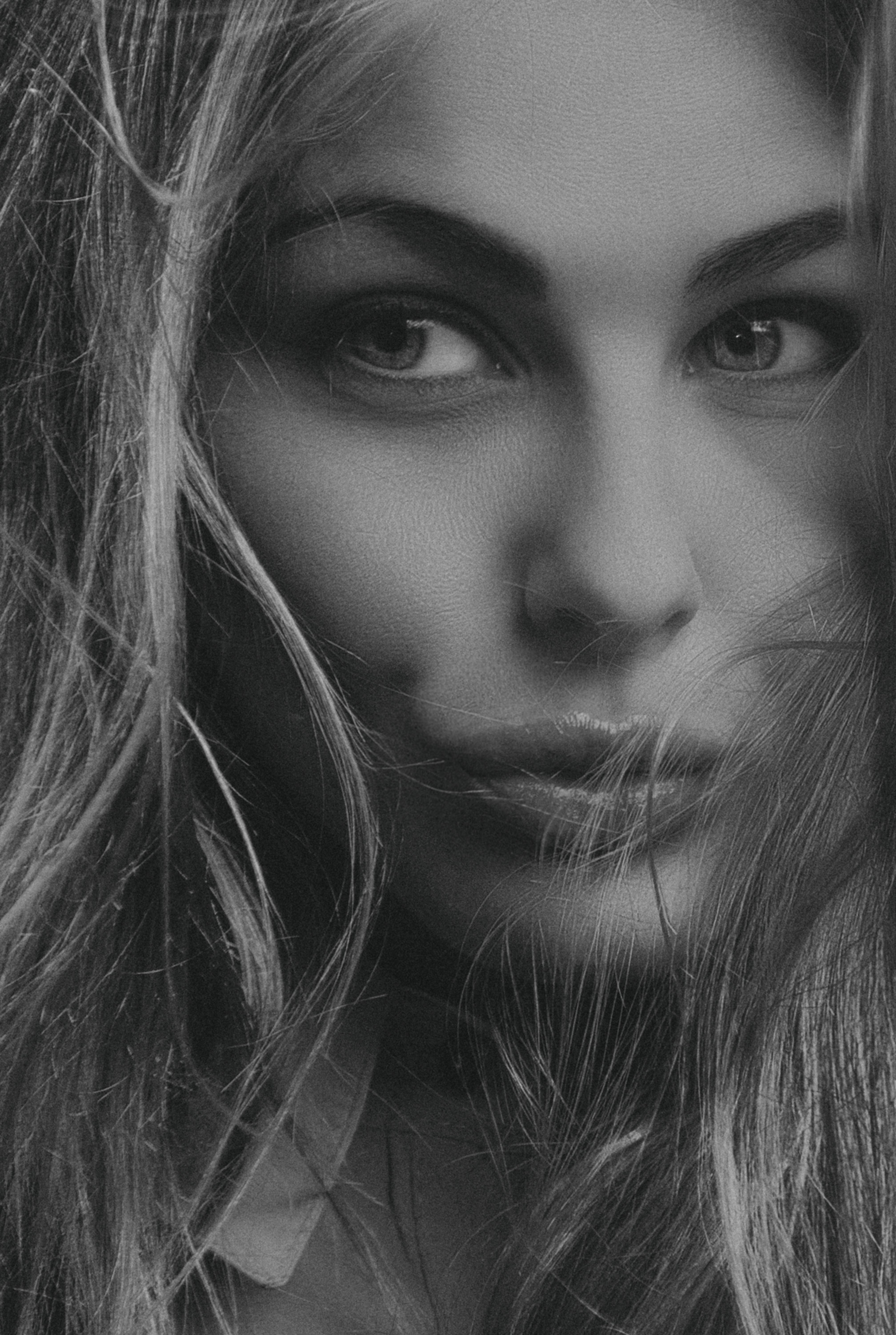 Portrait of Woman in Black and White · Free Stock Photo
