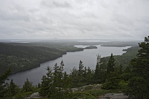 Free stock photo of lake, trees, view