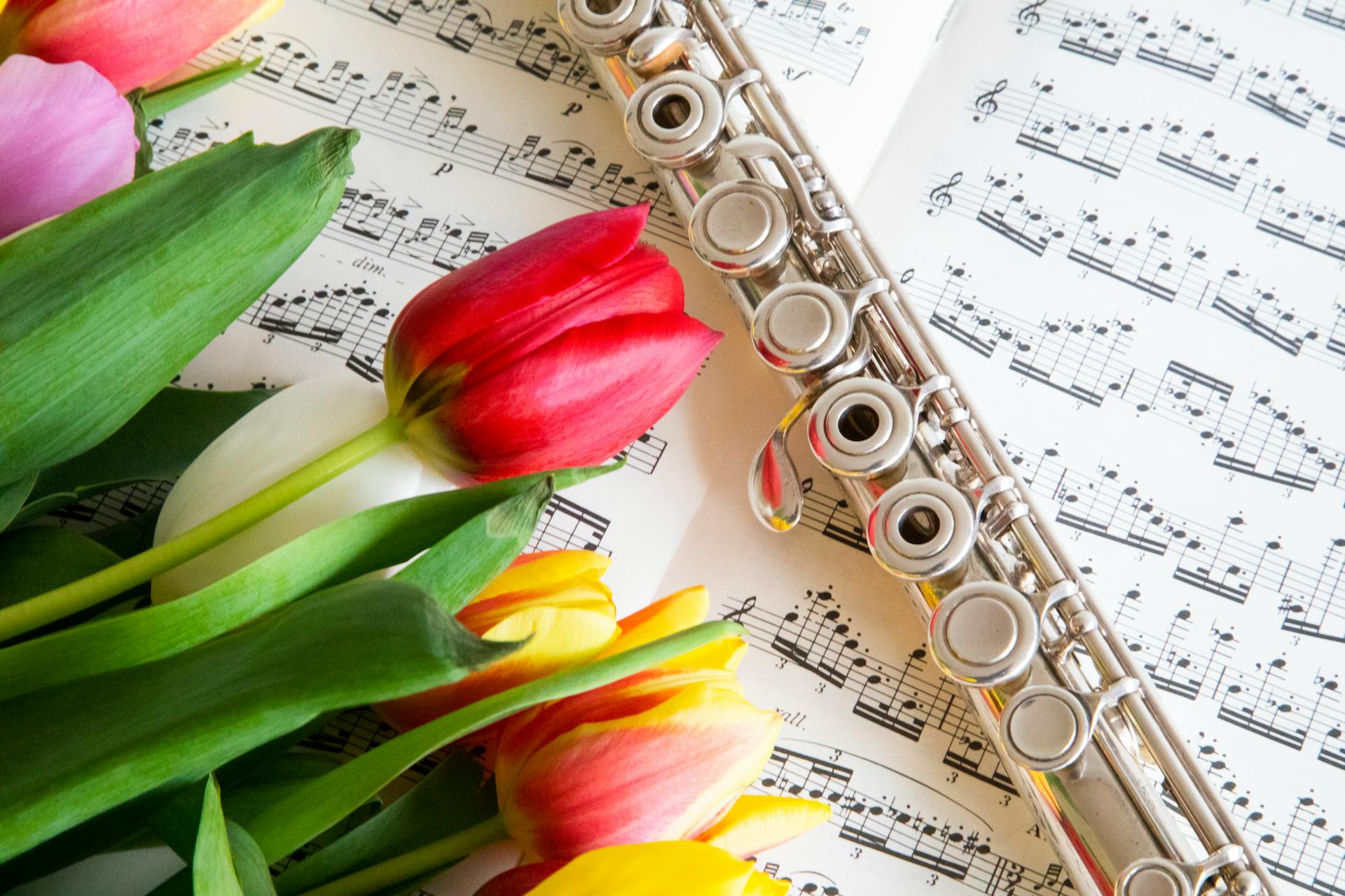 Vibrant tulips and a flute on music sheets, perfect for musical and floral themes.