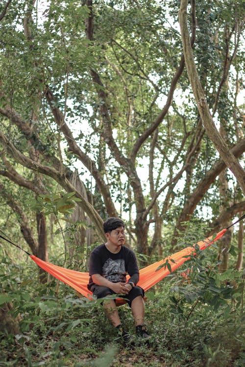 Free Man Sitting on Hammock in the Forest  Stock Photo