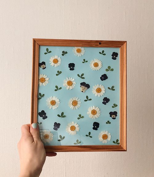 Free Hand holding ornate wooden frame with pressed daisies on blue background. Stock Photo