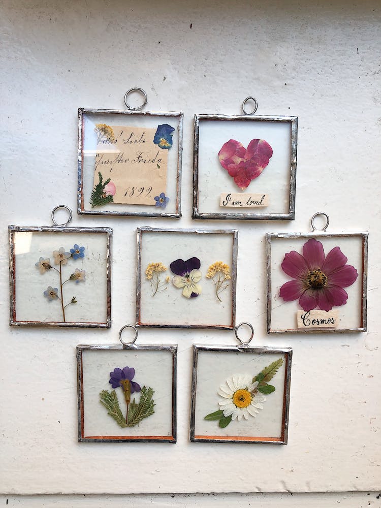 Framed Flower Paintings Hanging On The Wall