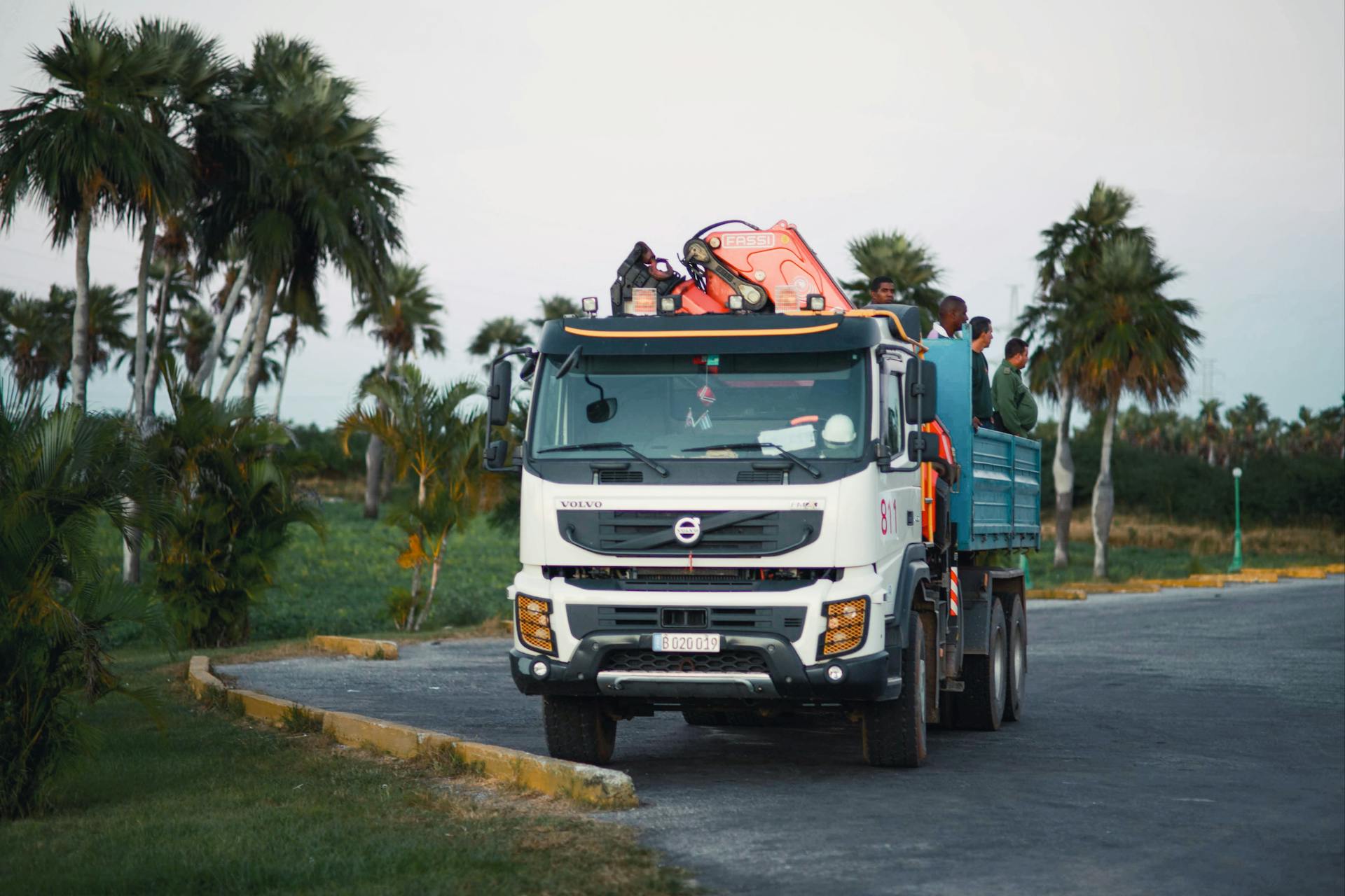 A group of workers on a truck surrounded by palm trees during the day.