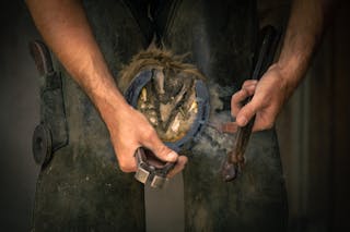 Free Man Shoeing a Horse Stock Photo