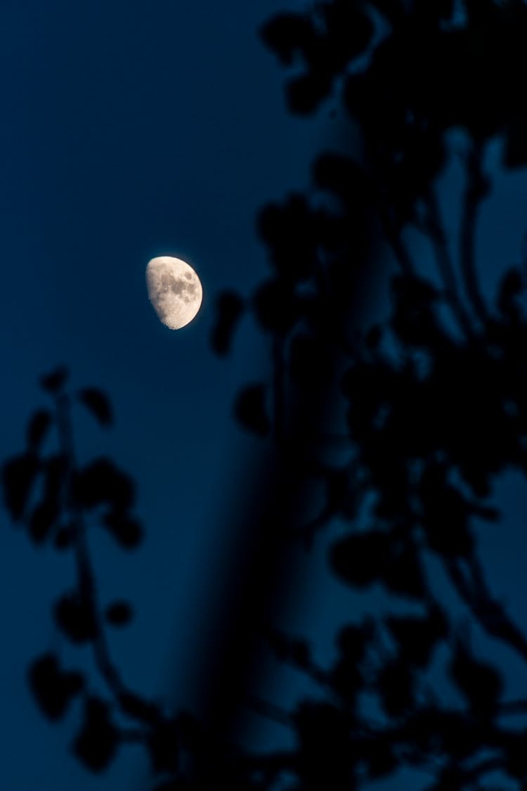 The Moon In The Night Sky