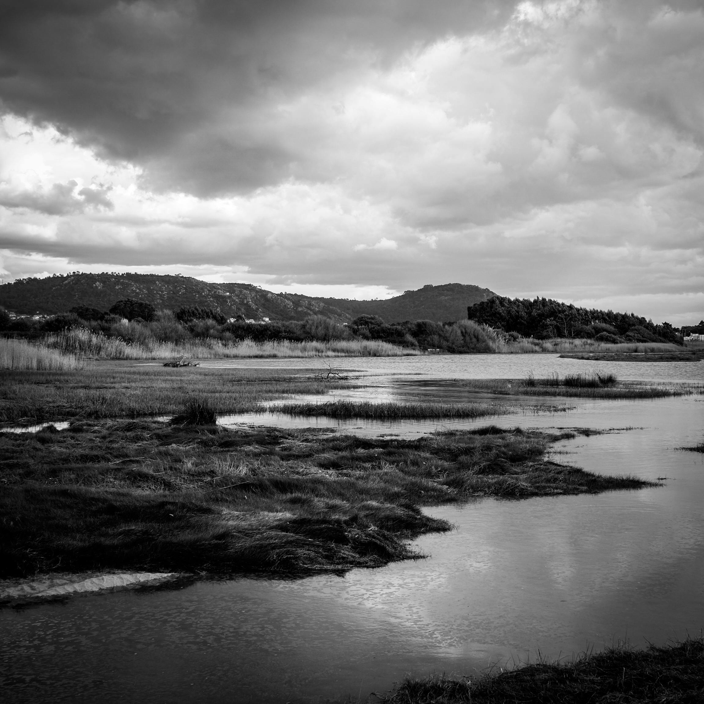 Dramatic black and white landscape of a marsh under an overcast sky.