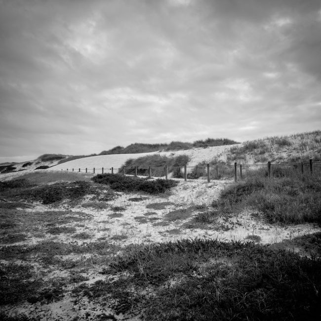Grayscale photo of a tranquil beach landscape with dunes and cloudy sky.