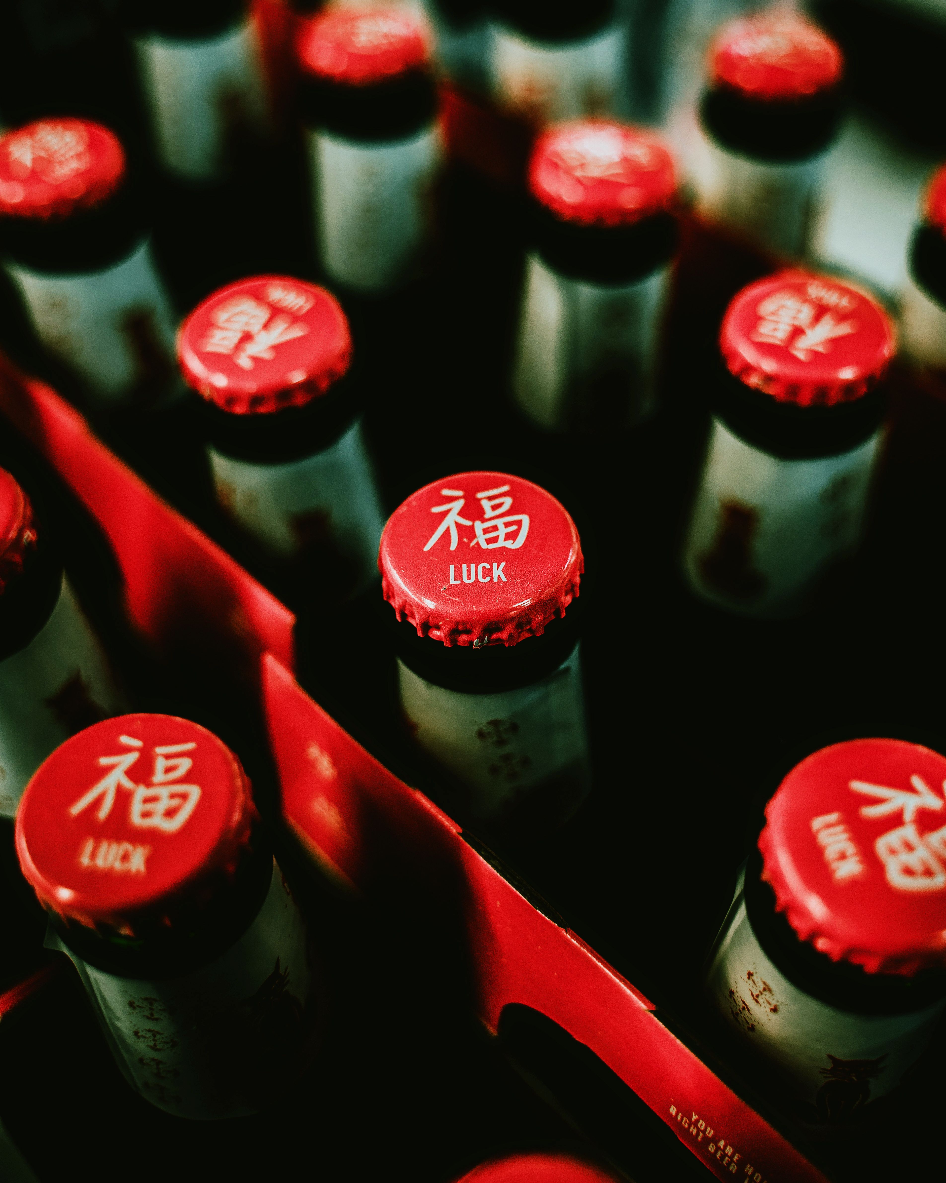 Cerveja Artesanal (600ml)