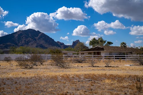 A Wooden House in the Countryside