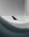 White Airplane Wing