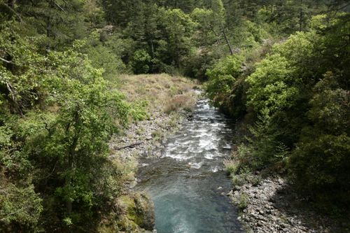Free A peaceful forest stream flows through lush greenery, creating a serene natural scene. Stock Photo