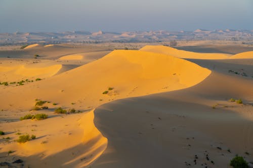 Deserto Al Tramonto Ad Abu Dhabi