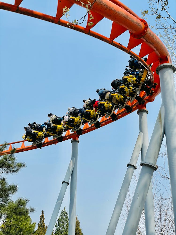 People On A Roller Coaster Ride