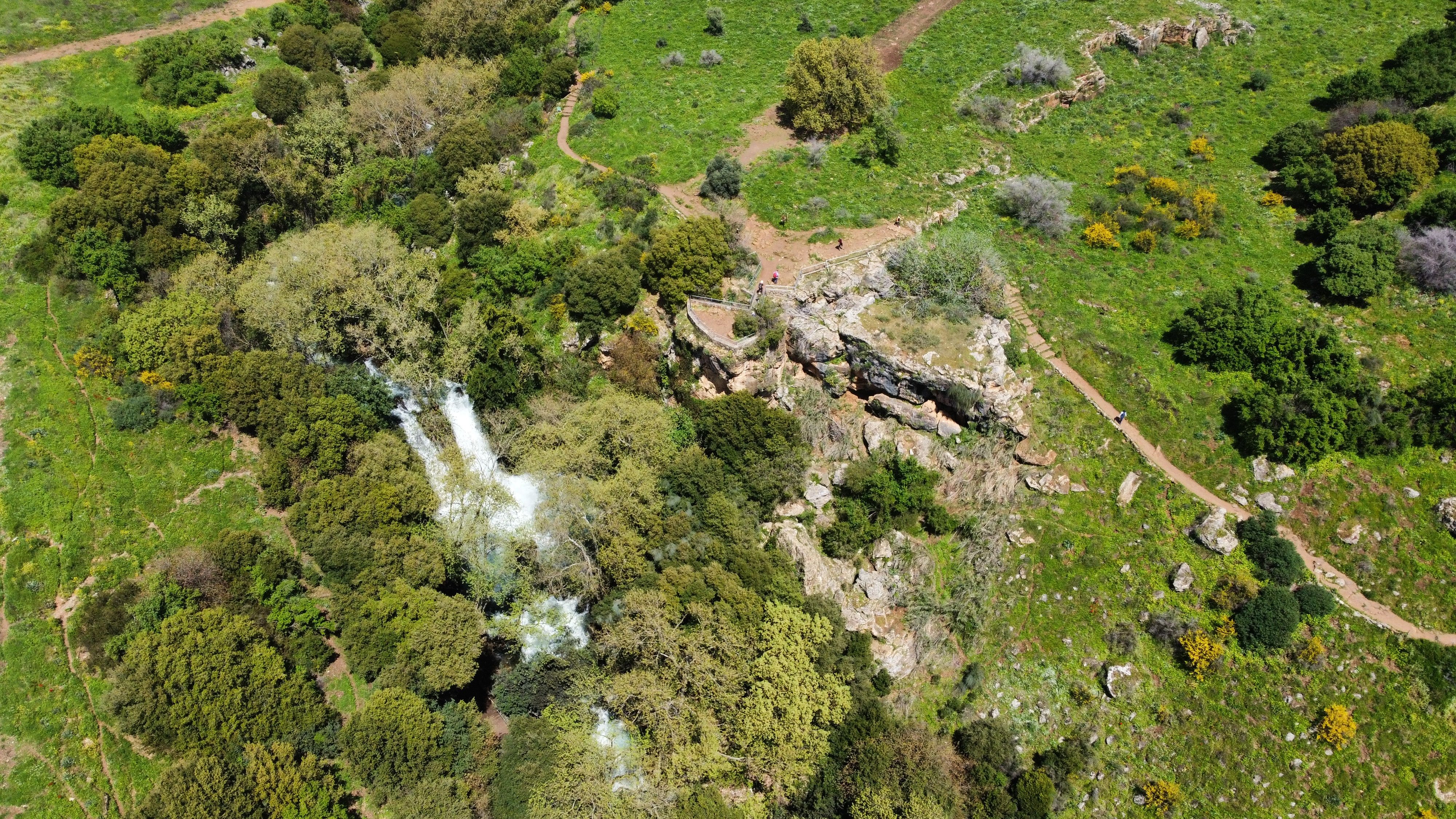 Aerial View of Green Grass and Trees · Free Stock Photo
