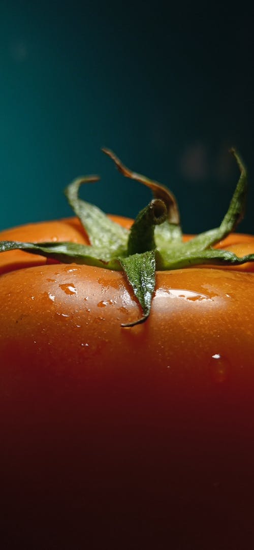 Free stock photo of red tomato, tomato, wallpaper for mobile Stock Photo